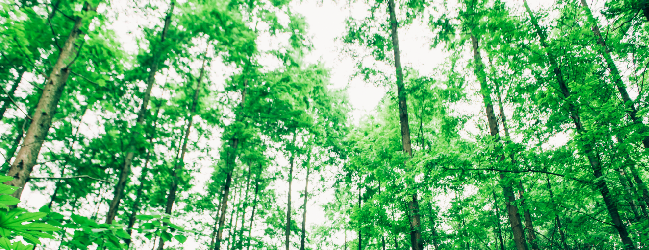 别让隐形威胁笼罩呼吸！NDIR技术革新，美思先端MTP80-A精准守护每一方空间